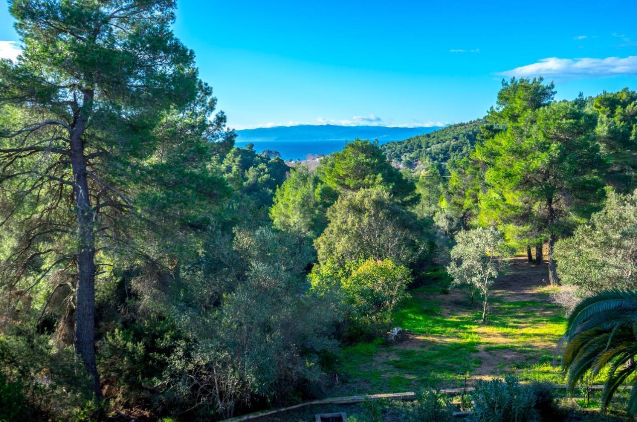 Forest Resort Suites Skiathos Troulos Bagian luar foto