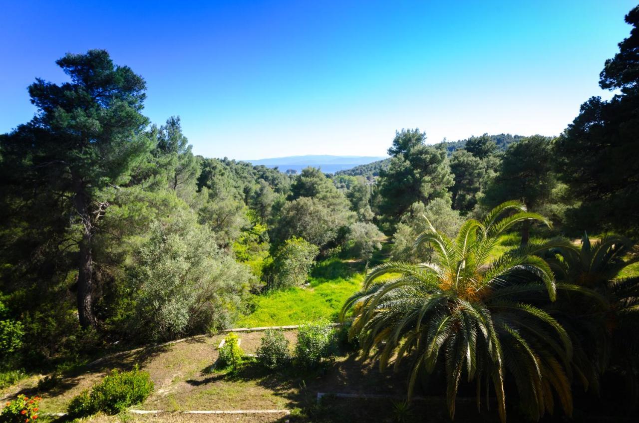 Forest Resort Suites Skiathos Troulos Bagian luar foto