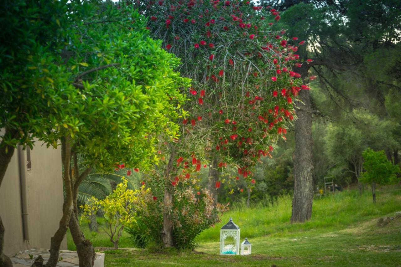 Forest Resort Suites Skiathos Troulos Bagian luar foto