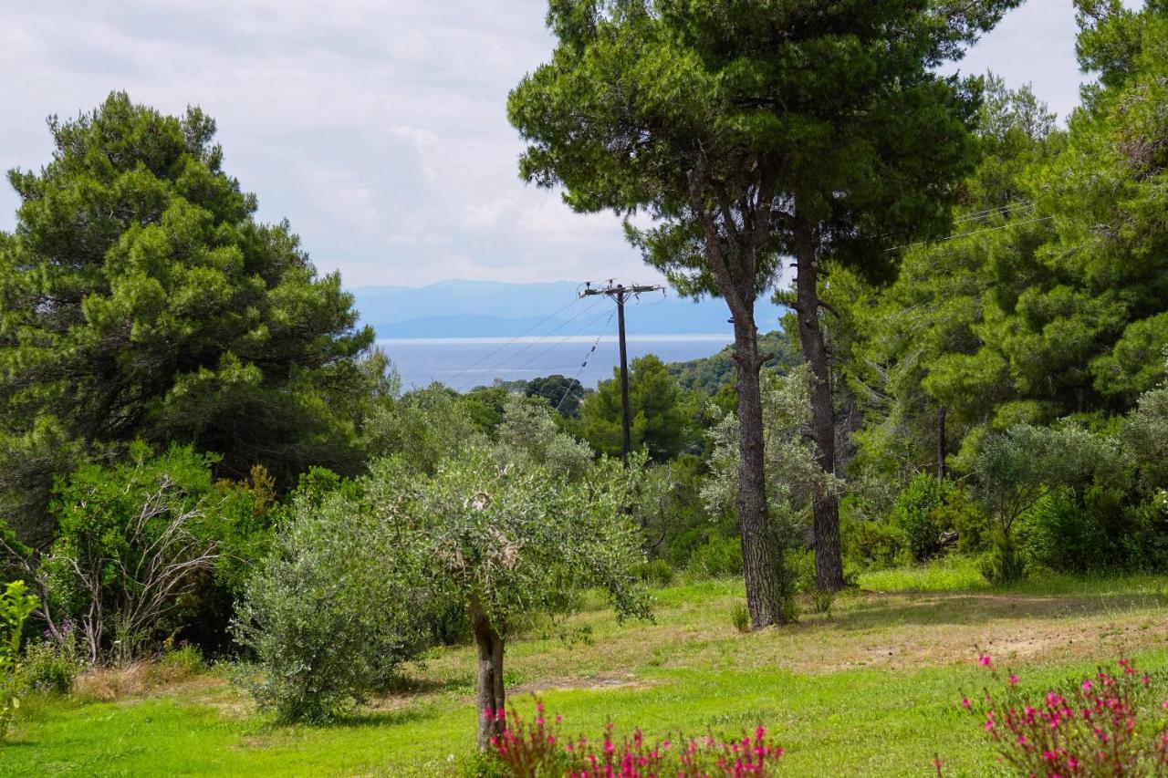 Forest Resort Suites Skiathos Troulos Bagian luar foto
